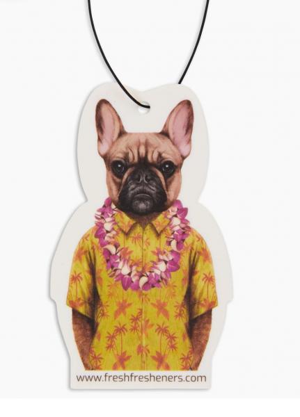 Frenchie in Hawaii